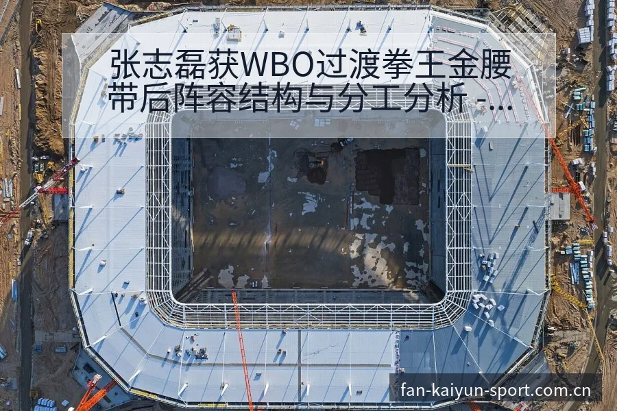 张志磊获WBO过渡拳王金腰带后阵容结构与分工分析 - 开云